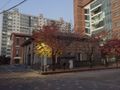 2022년 12월 21일 (수) 11:55 판의 섬네일