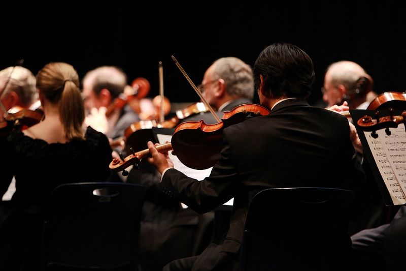 파일:Orchestra-2098877 960 720.jpg