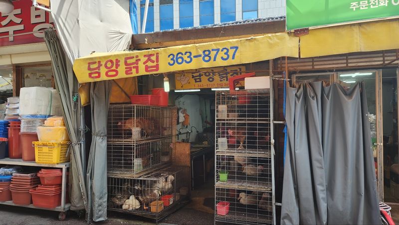 파일:담양닭집.jpg