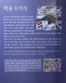2022년 12월 21일 (수) 14:38 판의 섬네일