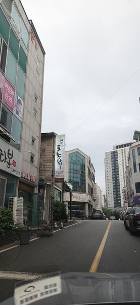 파일:어쩌다토종닭2.jpg