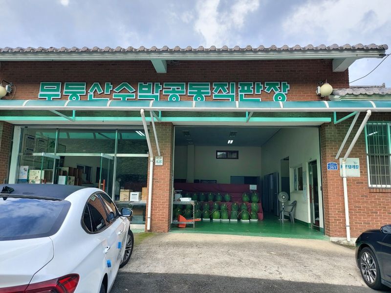 파일:무등산수박4.jpg