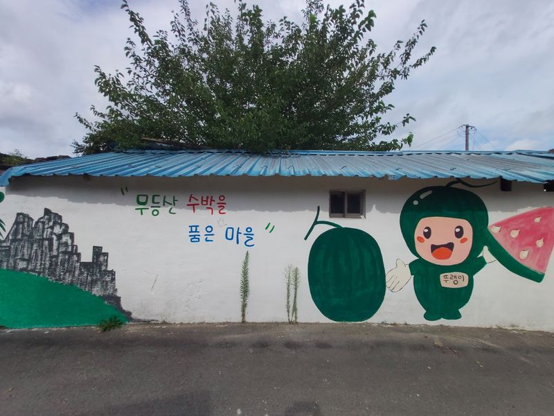 파일:무등산수박6.jpg