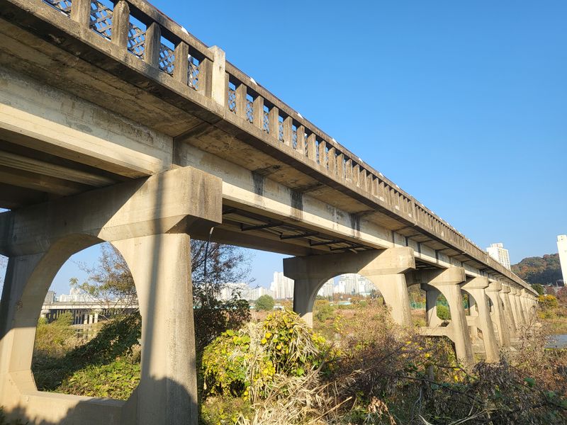 파일:산동교4.jpeg