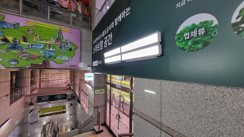 파일:자람팜1.jpg