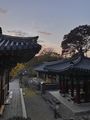 2022년 12월 21일 (수) 14:05 판의 섬네일