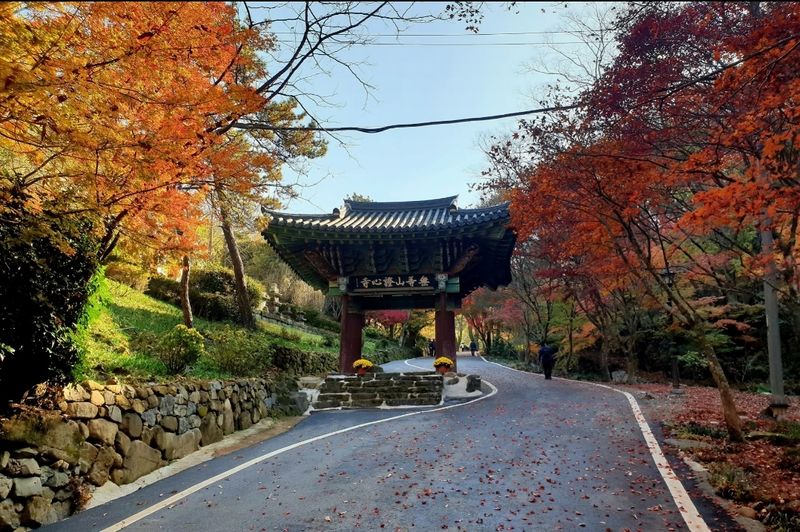 파일:J1.jpg