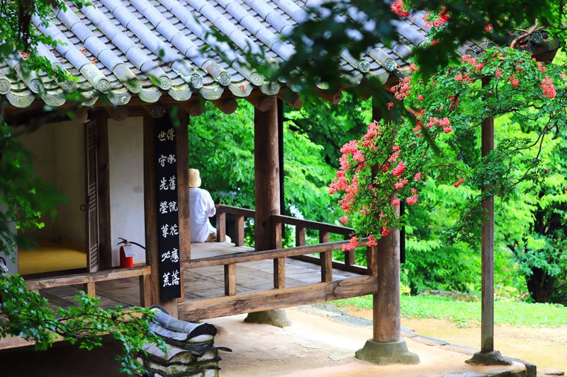 파일:명옥헌원림4.jpg